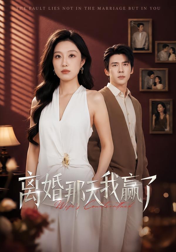 离婚那天我赢了封面图