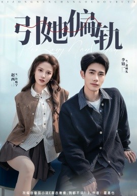引她偏轨封面图