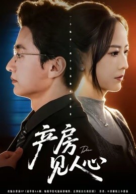 产房见人心封面图