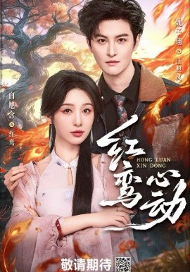红鸾心动封面图