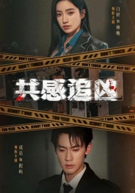 共感追凶封面图