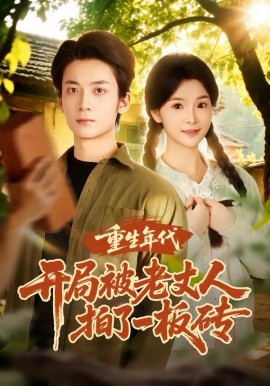 重生年代开局被老丈人拍了一板砖封面图