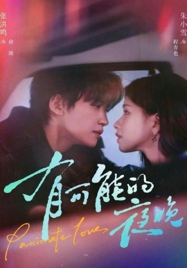 有可能的夜晚封面图