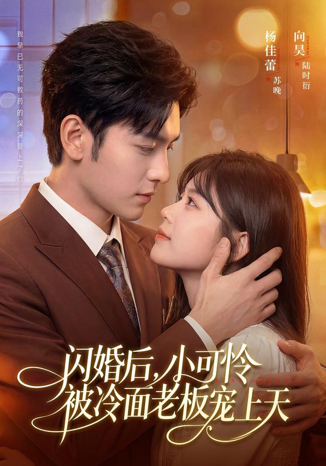 闪婚后，小可怜被冷面老板宠上天封面图
