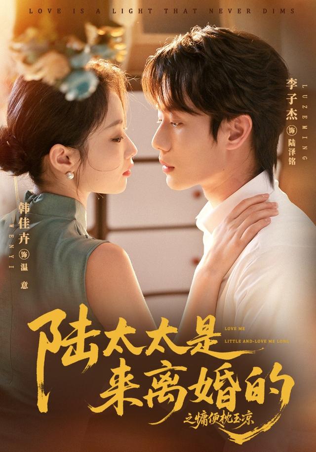 陆太太是来离婚的之慵便枕玉凉封面图