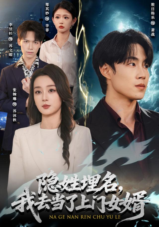 隐姓埋名，我去当了上门女婿封面图