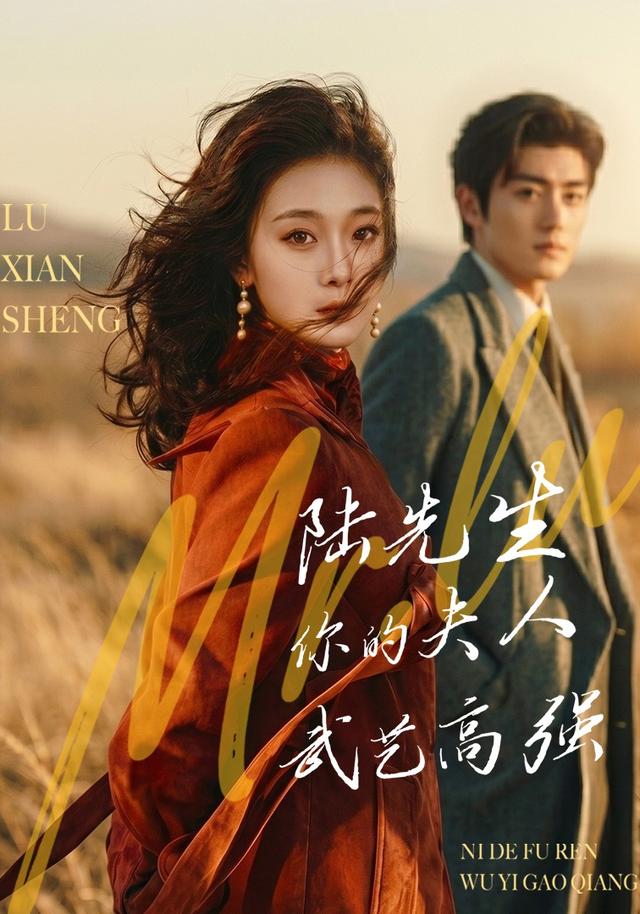 陆先生，你的夫人武艺高强封面图