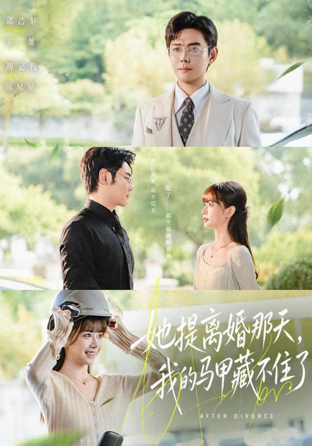 她提离婚那天，我的马甲藏不住了封面图