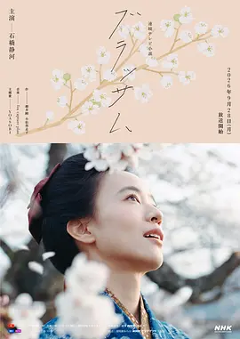 花朵盛开封面图